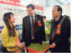 “Chuyên nghiệp hóa” sản phẩm OCOP