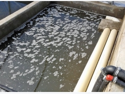 A better way to do aquaponics