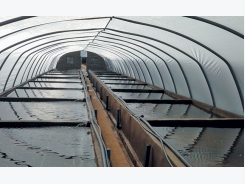 Aquaculture 101: the advantages of greenhouse tunnels