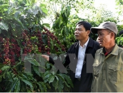 Measures sought to increase added value of coffee