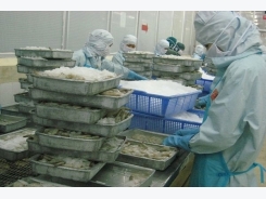 Assoc urges antibiotic control to maintain shrimp export growth