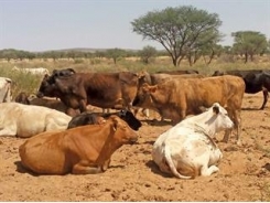 Grazing management in harmony with nature