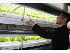 Unused Tokyo tunnel gets new life as underground vegetable farm