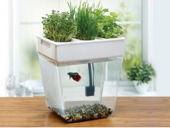 Aquaponics at Home: A Modern Farmer Review of Turnkey Aquaponics Systems for All Levels