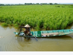 4 phương thức nuôi tôm điển hình mang lại hiệu quả cao