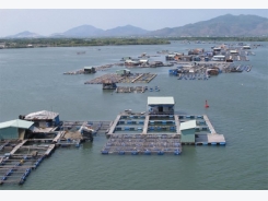 Ba Ria-Vung Tau develops fishery infrastructure