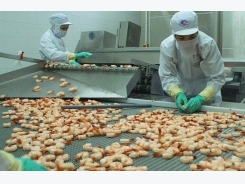 Vietnam’s seafood sector looks to long-term growth