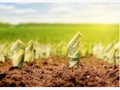 Farm sector profitability forecast relatively stable