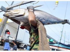 Vietnam’s seafood industry reacts to ‘yellow card’ from EU