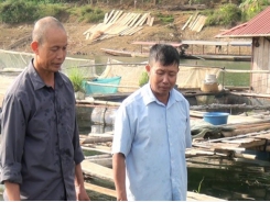 Dân tái định cư xã Chiềng Bằng giàu lên từ nghề nuôi cá lồng bè trên hồ thủy điện