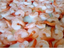 New ‘killer’ shrimp virus threat in China as production drops