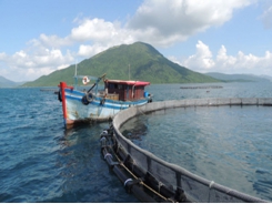 Vietnam poised to become top player in ocean aquaculture