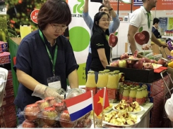 More Dutch firms invest in Vietnam’s agriculture