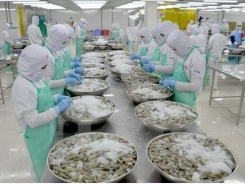 Aquatic product exports rake in 7.24 billion USD in 10 months