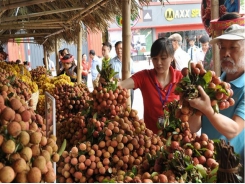 Longan and lychee season experiences record revenue