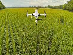 Technology key to agricultural production: forum
