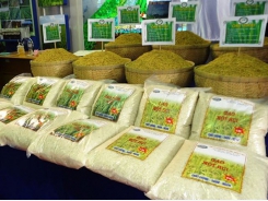 Chinese rice importers visit Việt Nam to find new partners