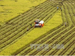 Agricultural sector needs more locally made machinery