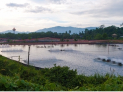 CP Foods eyes Thai shrimp farmer’s green methods