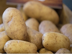 Positive growth for potato industry