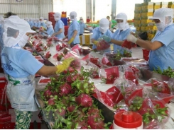 Fruit, vegetable exports valued at 3.3 billion USD