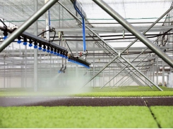 Bà Rịa – Vũng Tàu seeks to develop high-tech agriculture