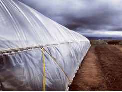 The 4 Best Ways to Cool a Greenhouse