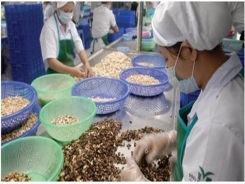 Vietnamese agricultural products win more export orders to Europe