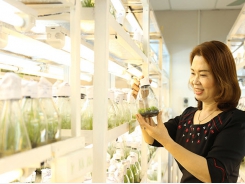 Influential Vietnamese scientist creates 52 varieties of fruit