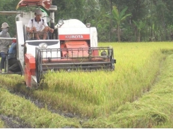 Vietnam’s investment in agricultural R&D activities remains limited