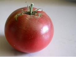 Guide to Growing Cherokee Purple Tomatoes