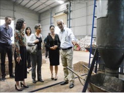 Pyrolysis technology improves coffee quality