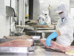 The seafood companies push export turnover in the last months of the year