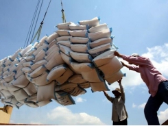 Rice export revenue suffers from price drop