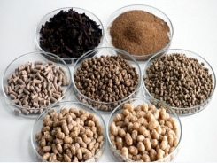 Lab-scale testing of novel fish feed ingredients is a growing trend: Brabender
