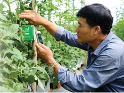 Time is ripe for Vietnam's agriculture digitalization