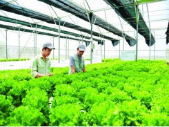 Japanese boost investment in Vietnamese agriculture