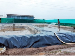 Xử lý nước thải nuôi tôm siêu thâm canh bằng biogas