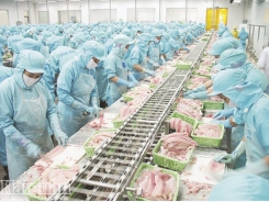Shrimp and fish depreciate, seafood exports reach 9 billion USD
