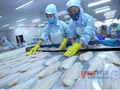 Pangasius exports have been in a slump