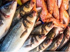 5 Approaches to Making Aquaculture Sustainable