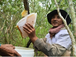 Ca Mau promotes key agricultural products