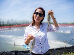 How to stay ahead in shrimp farming