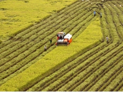 Land use regulations need changing for large-scale agriculture production