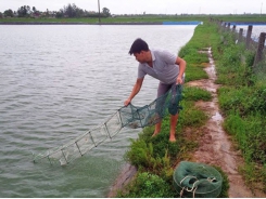 Hướng dẫn chống rét cho vật nuôi thủy sản tại Thanh Hóa