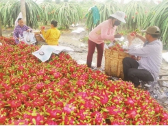 Exporting agricultural products to China: Do not use 'wheelbarrow'
