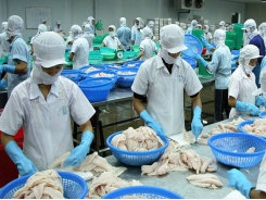Vietnam’s catfish safety procedures for export approved by the US