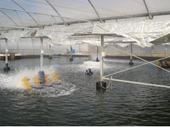 Những mẹo thiết lập hệ thống nuôi trồng thủy sản tuần hoàn (RAS) hàng đầu - Phần 1