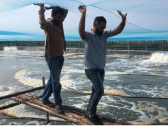 Why Covid should fast-track tech adoption in Indian aquaculture