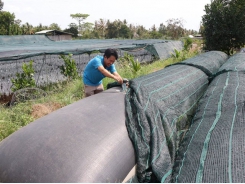 Bến Tre households store rainwater during dry season